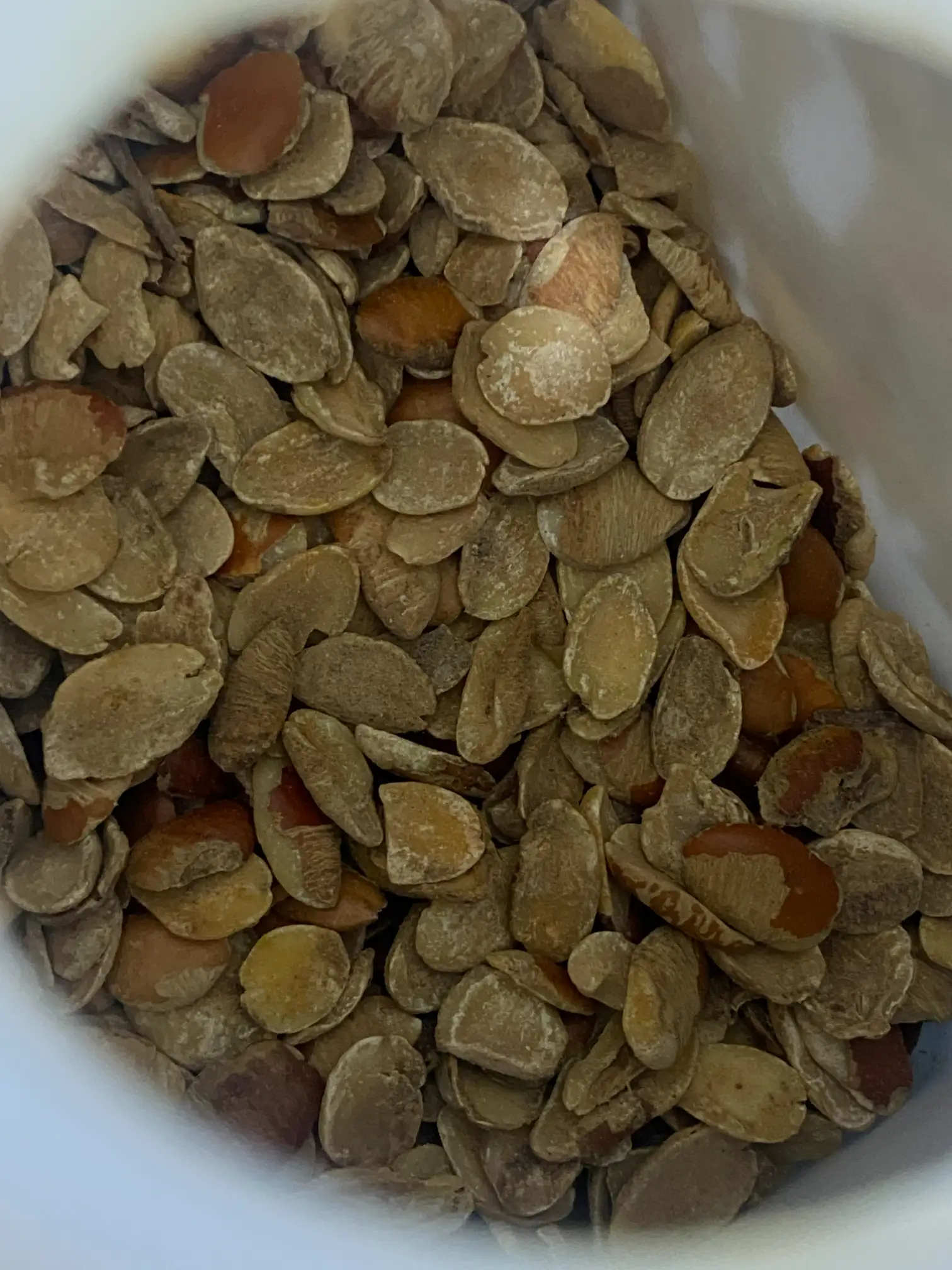 Ogbono (0.5 kg)