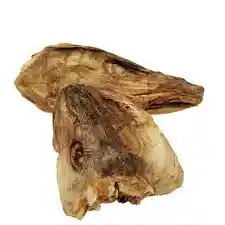 Stockfish Head (small)