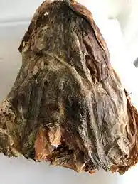 Stockfish Head (med)