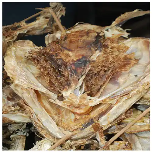 Stockfish Head (large)