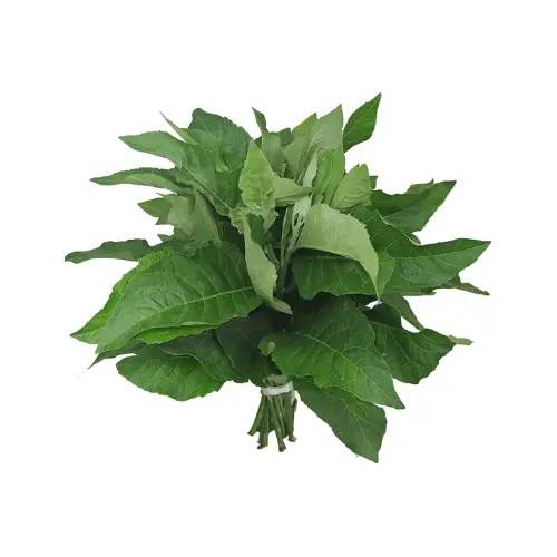 Bitter Leaf (fresh pack)