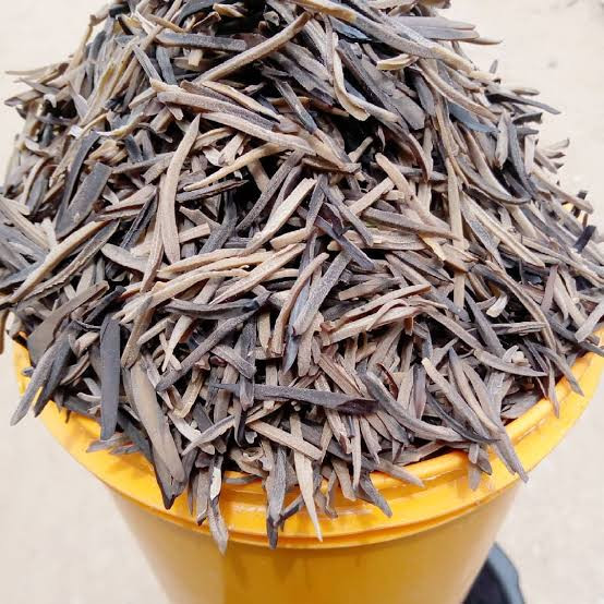 Ugba (100g dried)