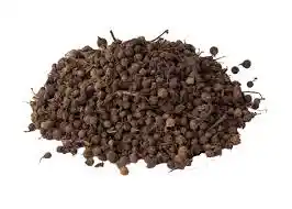 Oziza seed (each pack)