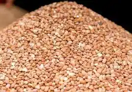 Beans (Brown) 600 g
