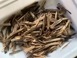 Ugba (fresh pack)