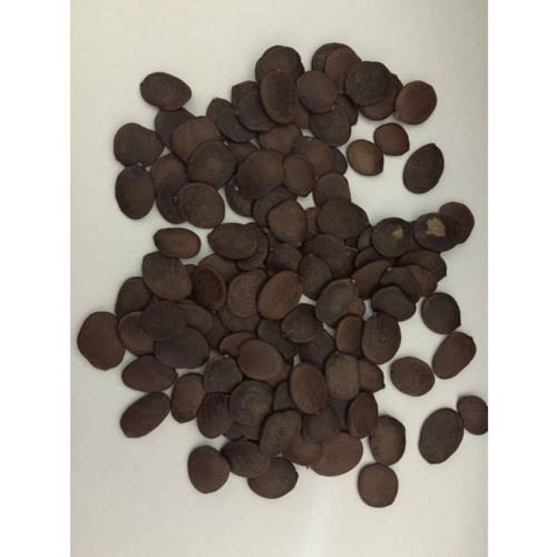 Achi Seeds Unpeeled