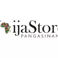 Naijastore logo